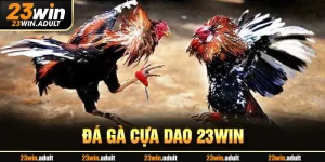 Đá Gà Cựa Dao hq88 - Khám Phá Nghệ Thuật Chiến Đấu Đỉnh Cao