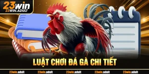 Luật Chơi Đá Gà hq88 Chi Tiết Dành Cho Tân Binh Từ A-Z