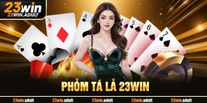 Phỏm Tá Lả - Hướng Dẫn Quy Trình Tham Gia Tại hq88